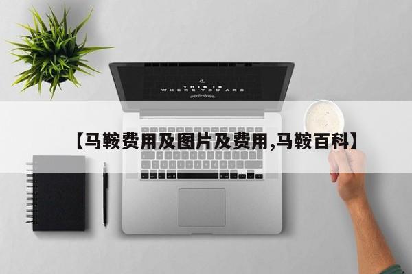 【马鞍费用及图片及费用,马鞍百科】