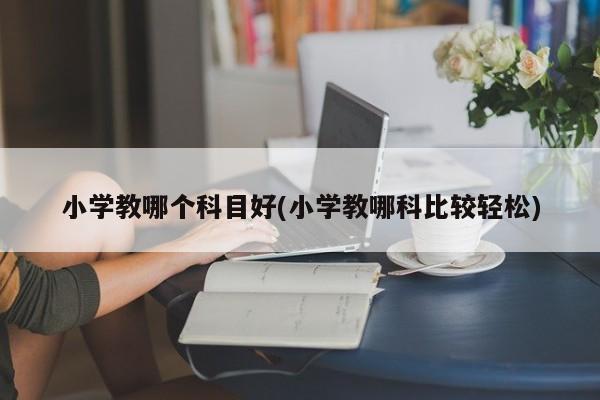 小学教哪个科目好(小学教哪科比较轻松)