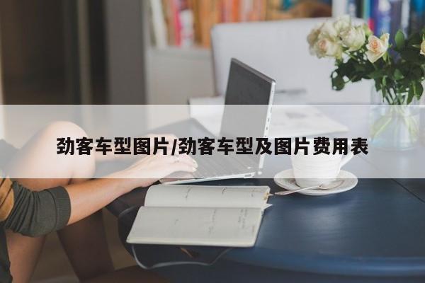 劲客车型图片/劲客车型及图片费用表