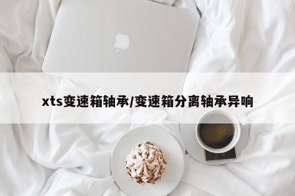 xts变速箱轴承/变速箱分离轴承异响