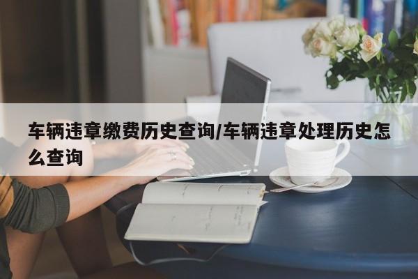 车辆违章缴费历史查询/车辆违章处理历史怎么查询