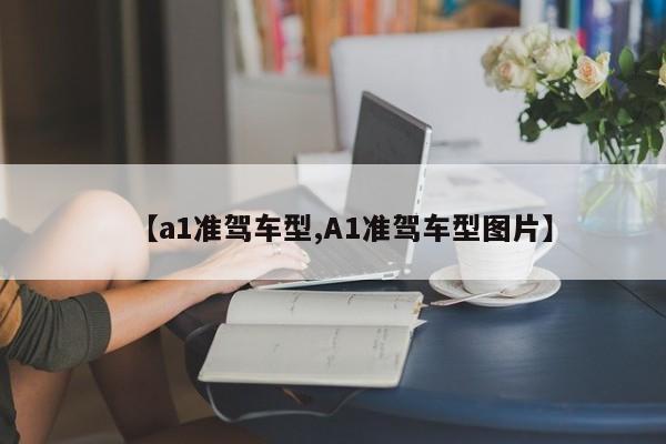 【a1准驾车型,A1准驾车型图片】