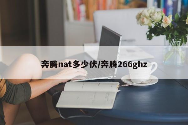 奔腾nat多少伏/奔腾266ghz