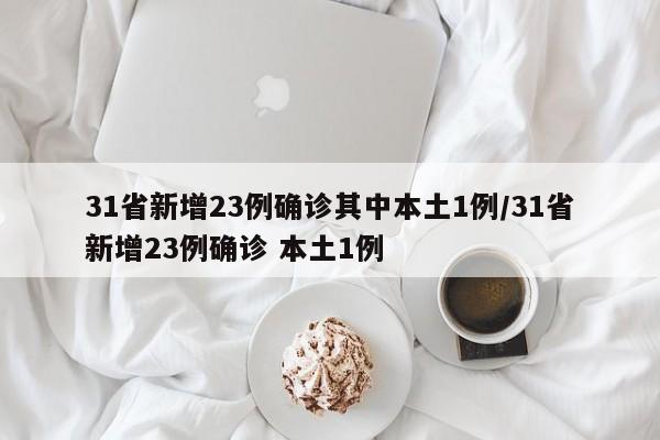 31省新增23例确诊其中本土1例/31省新增23例确诊 本土1例