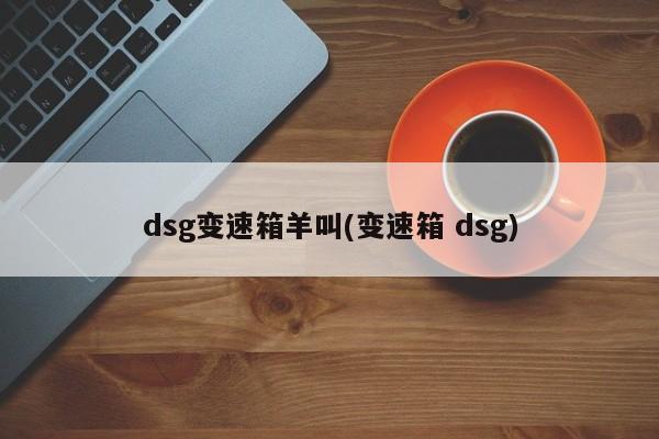 dsg变速箱羊叫(变速箱 dsg)