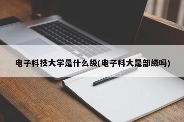 电子科技大学是什么级(电子科大是部级吗)