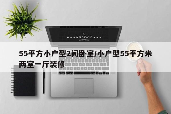 55平方小户型2间卧室/小户型55平方米两室一厅装修