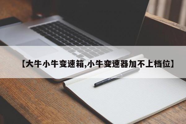 【大牛小牛变速箱,小牛变速器加不上档位】